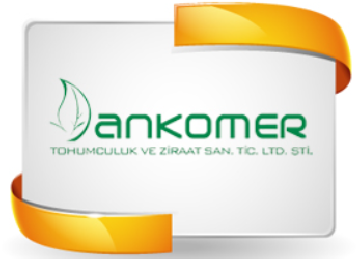 Customer Testimonails